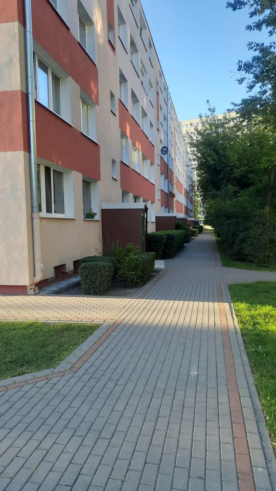 Mieszkanie 3-pokojowe Włocławek Zazamcze, ul. Rajska. Zdjęcie 2