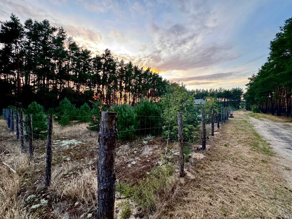 Działka budowlana Stany. Zdjęcie 2