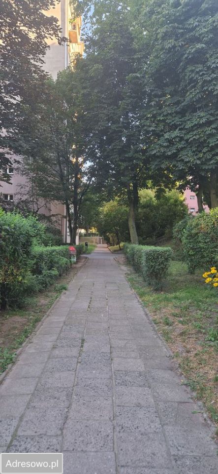 Mieszkanie 1-pokojowe Szczecin Centrum, al. Wyzwolenia. Zdjęcie 9