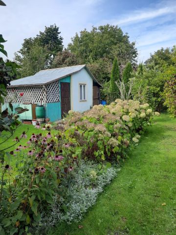 Działka rod Zalewo, ul. Kilińskiego. Zdjęcie 1