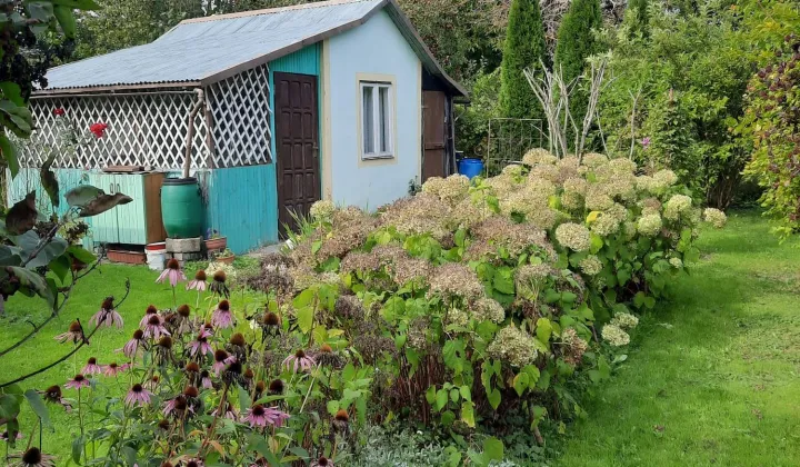 Działka rod Zalewo, ul. Kilińskiego