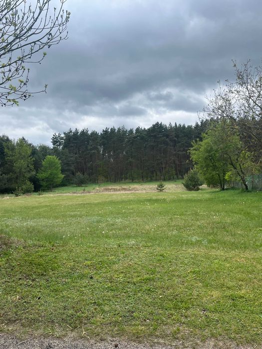 Działka budowlana Pszczelnik. Zdjęcie 6
