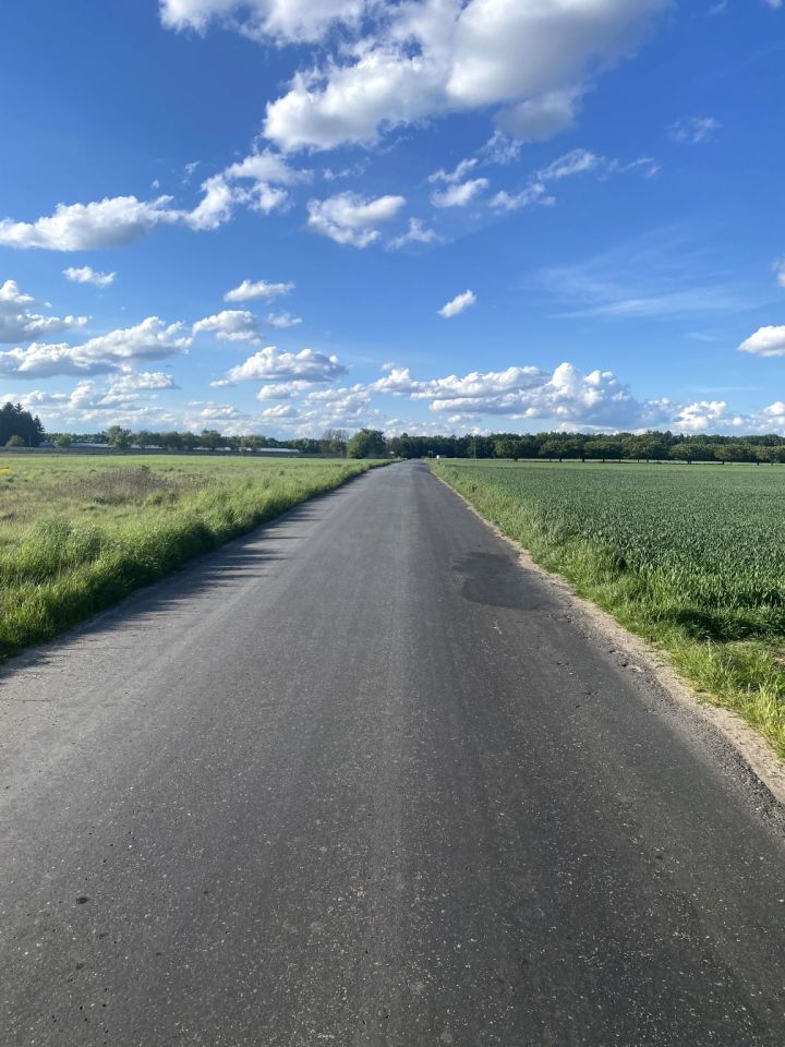 Działka rolna Konarskie. Zdjęcie 3