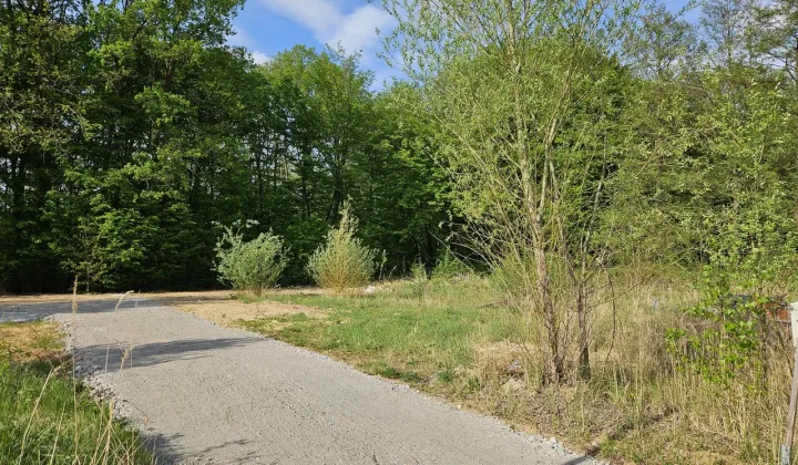 Działka budowlana Zielona Góra Ochla