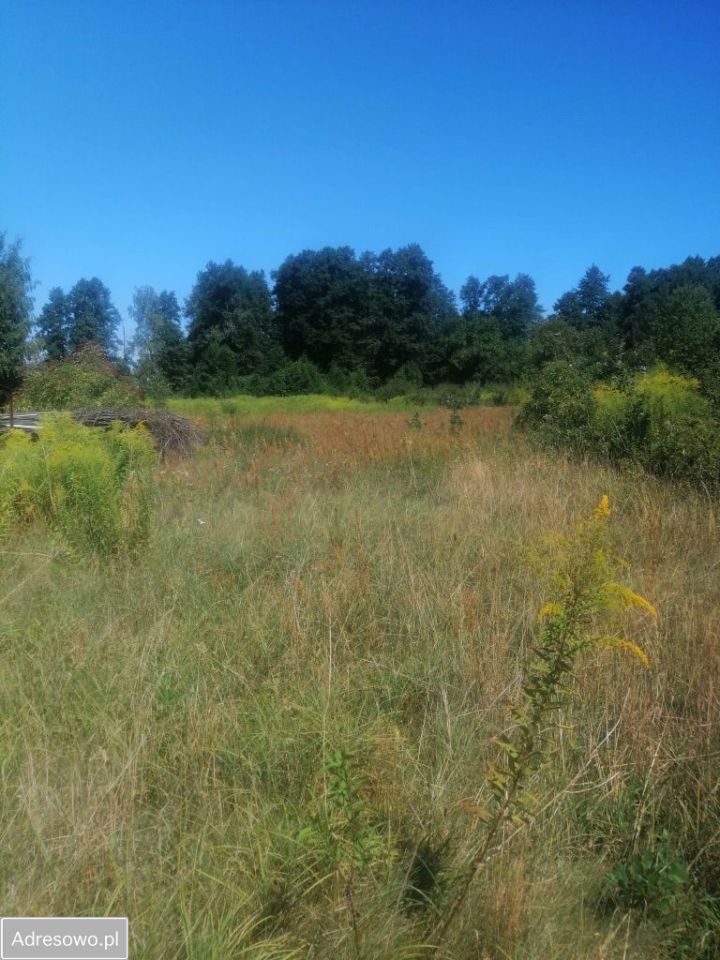 Działka rolna Łódź Bałuty, ul. Liściasta. Zdjęcie 8