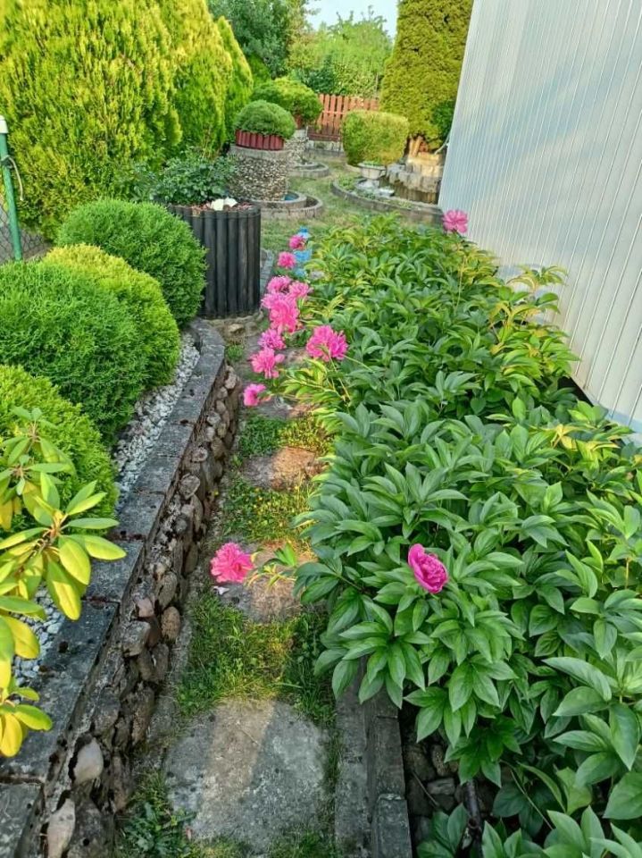 Działka rod Wieluń. Zdjęcie 2