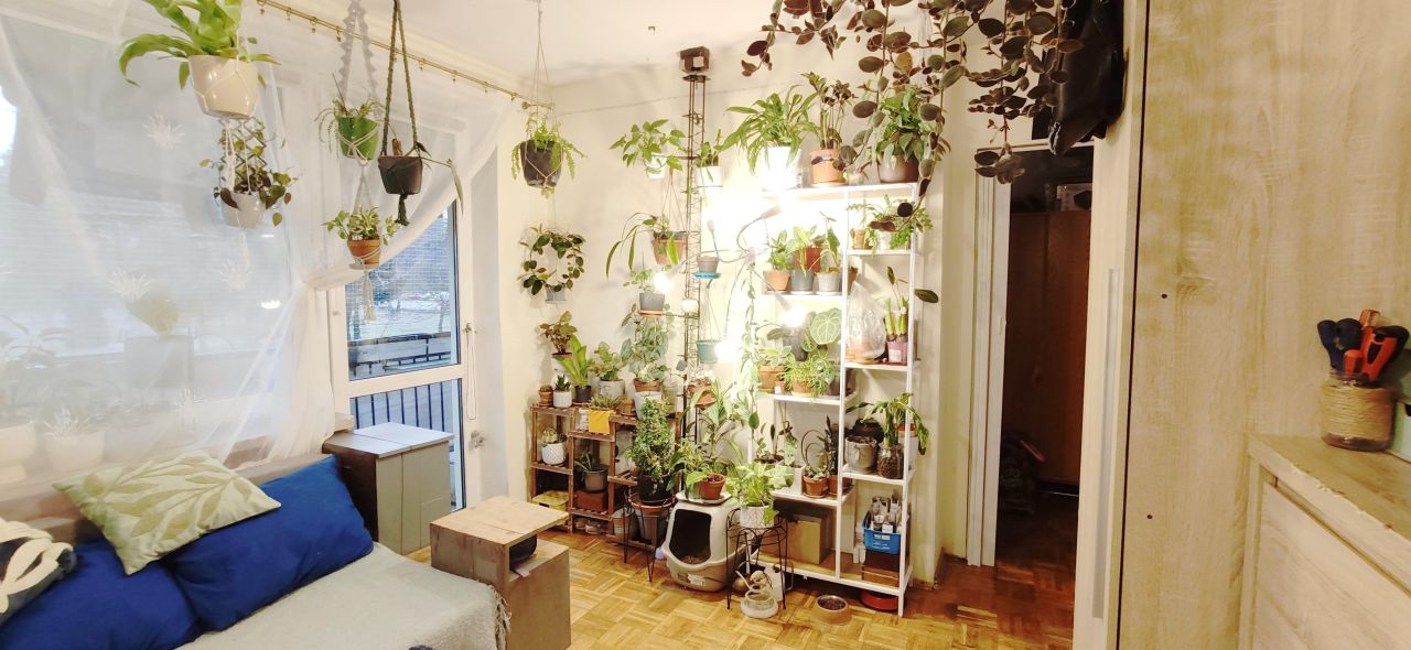 Mieszkanie 2-pokojowe Tomaszów Lubelski, ul. Aleja Sportowa