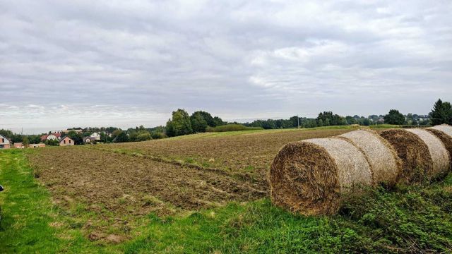 Działka rolna Jastrzębie-Zdrój Bzie Zameckie, ul. Klubowa. Zdjęcie 1