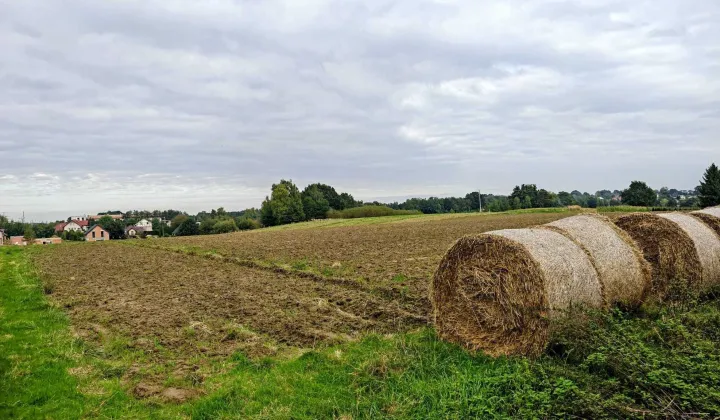 Działka rolna Jastrzębie-Zdrój Bzie Zameckie, ul. Klubowa