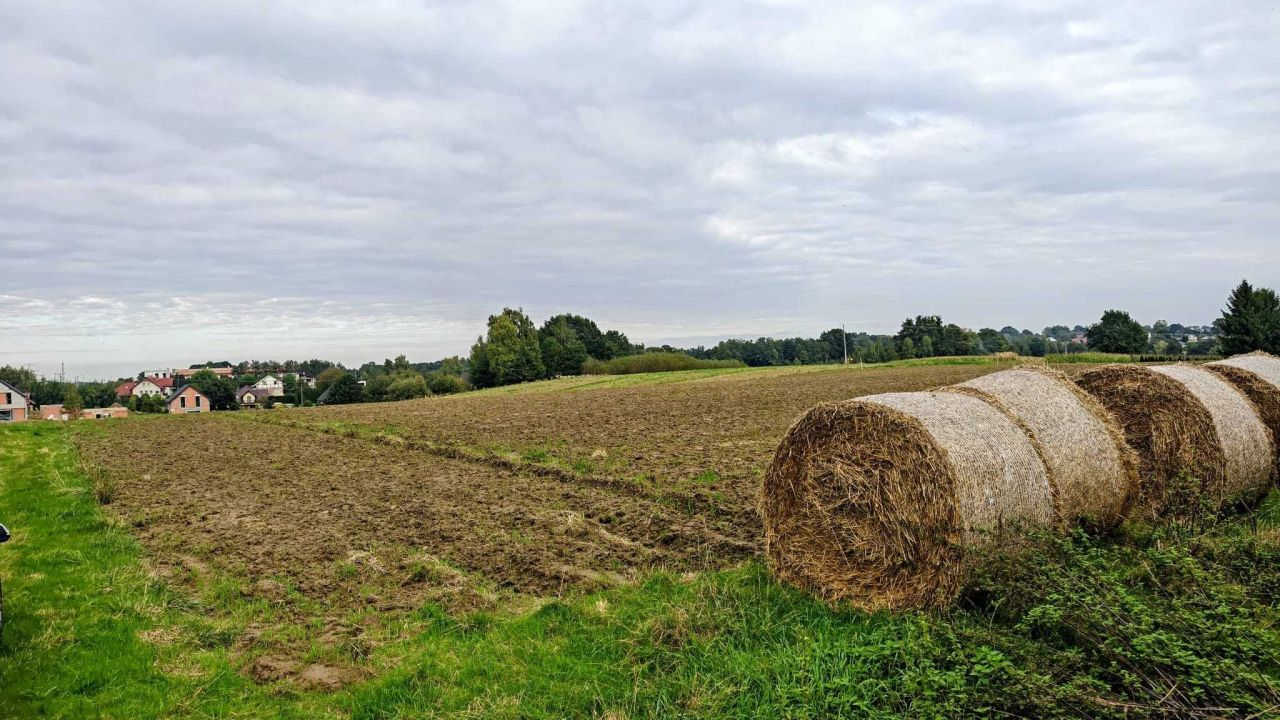 Działka rolna Jastrzębie-Zdrój Bzie Zameckie, ul. Klubowa. Zdjęcie 1
