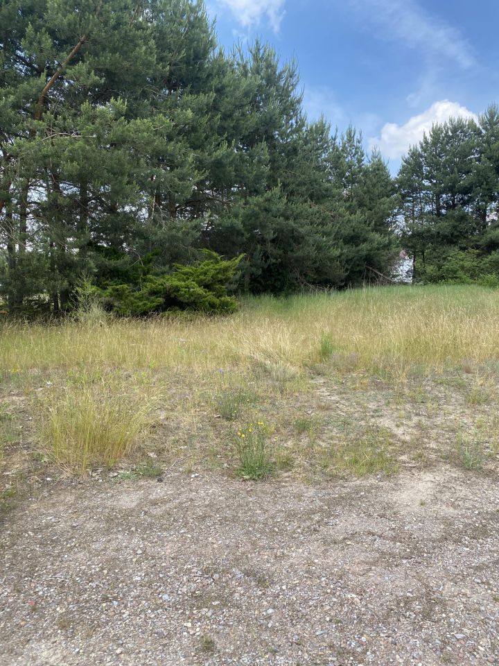 Działka budowlana Zameczek-Kolonia. Zdjęcie 3