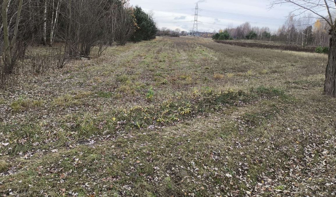 Działka inwestycyjna Stare Grabie, ul. Szosa Jadowska. Zdjęcie 2