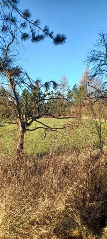 Działka budowlana Trójca. Zdjęcie 2