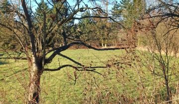 Działka budowlana Trójca