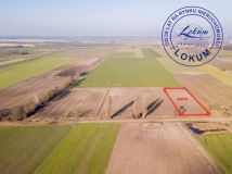 Działka siedliskowa Przybyszewo. Zdjęcie 4