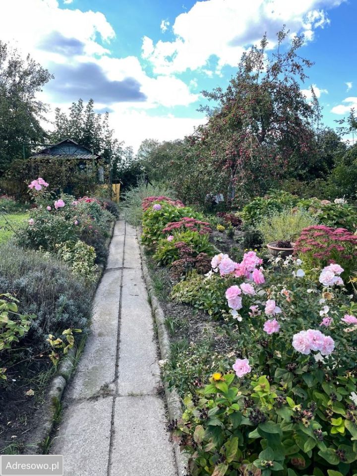 Działka rod Gliwice Wójtowa Wieś, ul. Ku Dołom. Zdjęcie 10