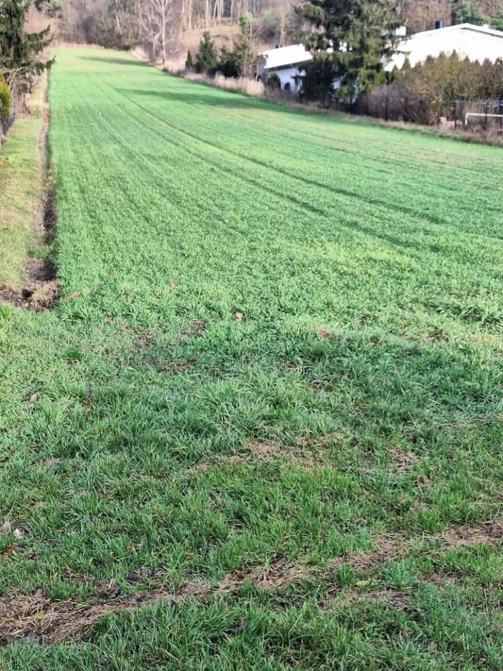 Działka rolna Dymaczewo Stare. Zdjęcie 4