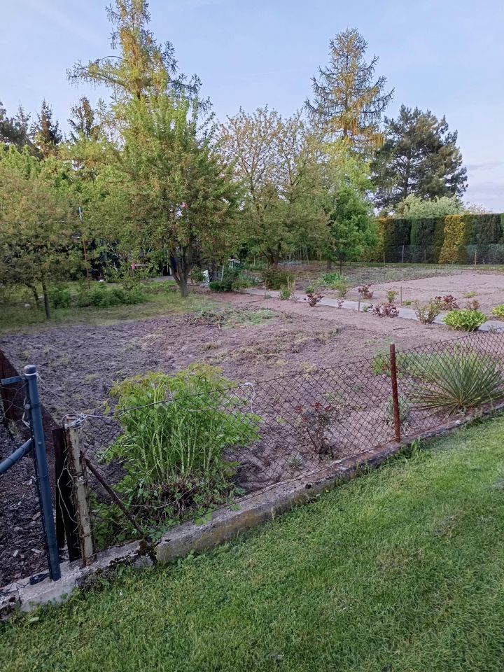 Działka rekreacyjna Nowe Skalmierzyce, Działkowa. Zdjęcie 5