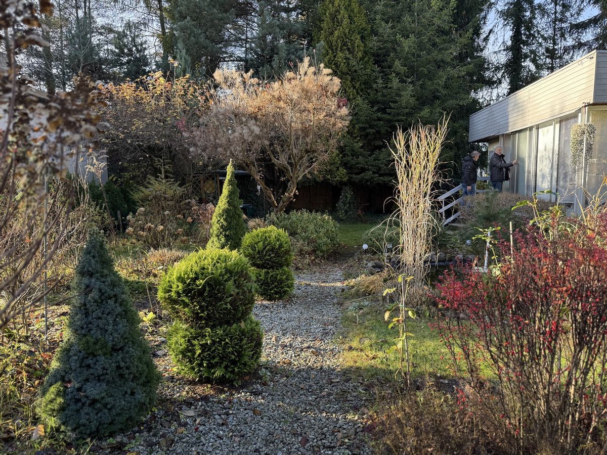 Działka rod Prawda. Zdjęcie 17