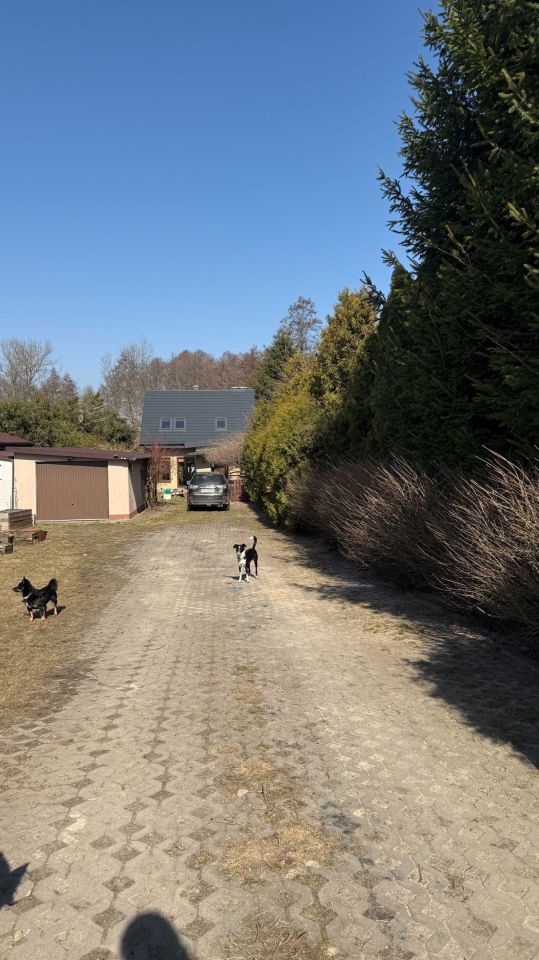 dom wolnostojący Palikije Pierwsze. Zdjęcie 6