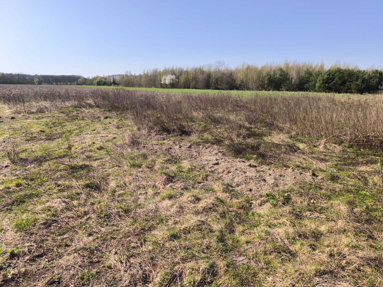 Działka budowlana Nasielsk, ul. Chmielna. Zdjęcie 6