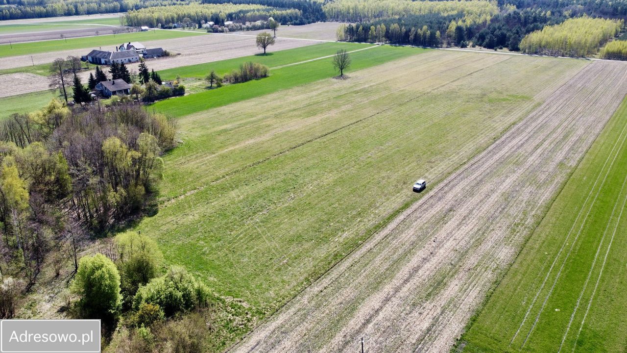 Działka rolno-budowlana Ruda Jeżewska. Zdjęcie 3