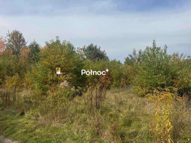 Działka rekreacyjna Skronina. Zdjęcie 4