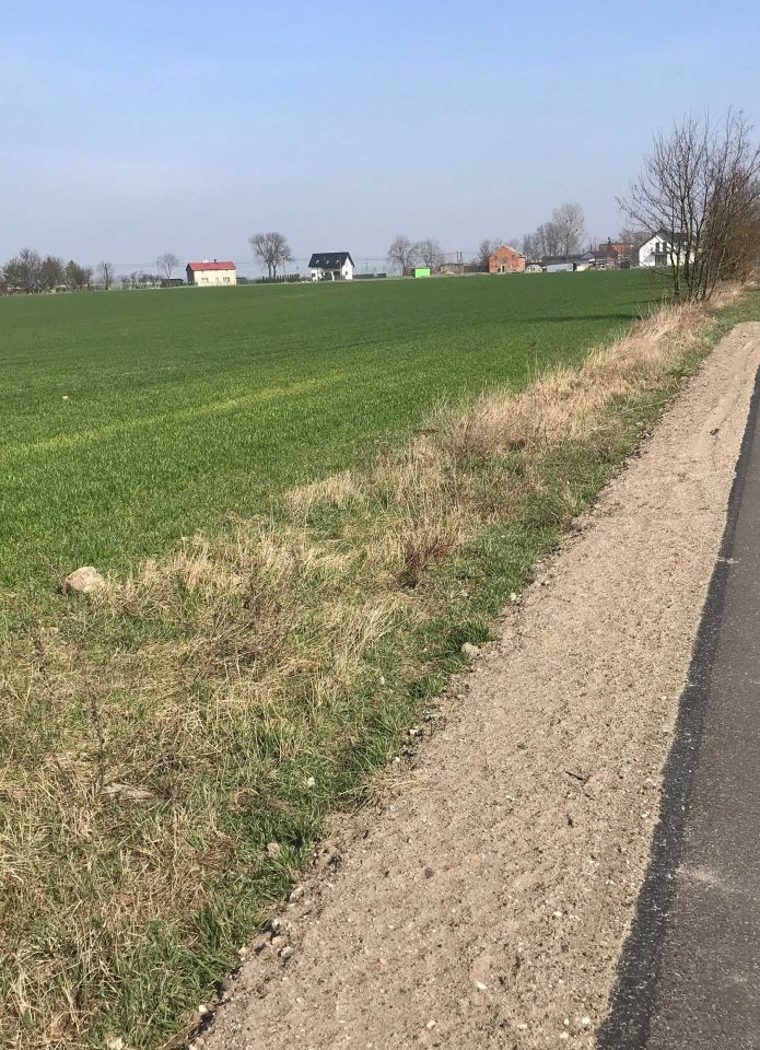 Działka budowlana Kończewice. Zdjęcie 2