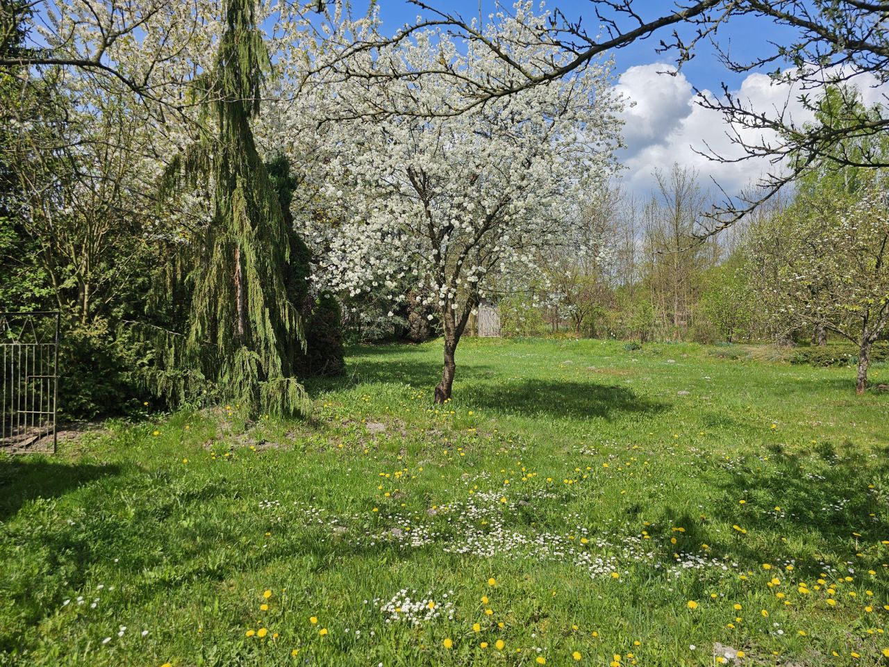 Działka budowlana Łódź Widzew, ul. Wiączyńska. Zdjęcie 3