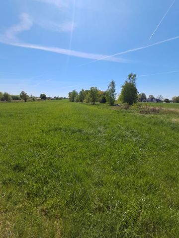 Działka budowlana Borek. Zdjęcie 2