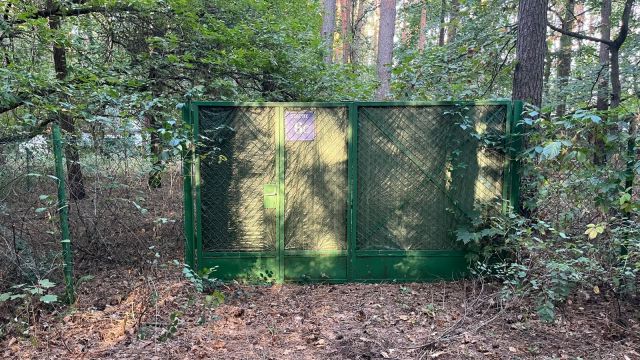 Działka leśna Sikory. Zdjęcie 1