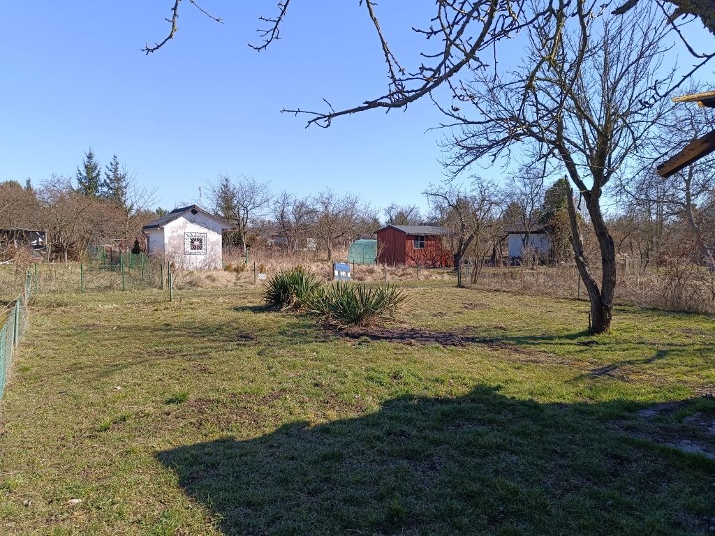 Działka rod Wrocław Krzyki. Zdjęcie 5