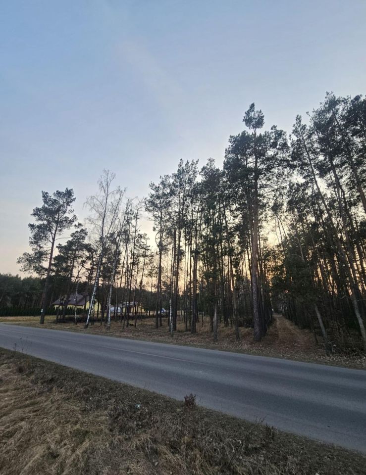 Działka budowlana Dokudów Drugi, Dokudów. Zdjęcie 5
