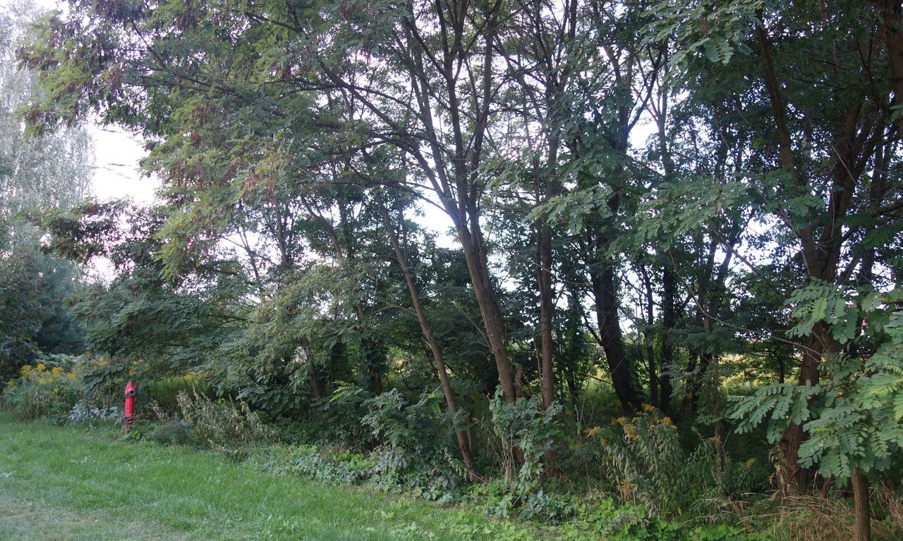 Działka budowlana Wódka, ul. Słoneczna. Zdjęcie 4