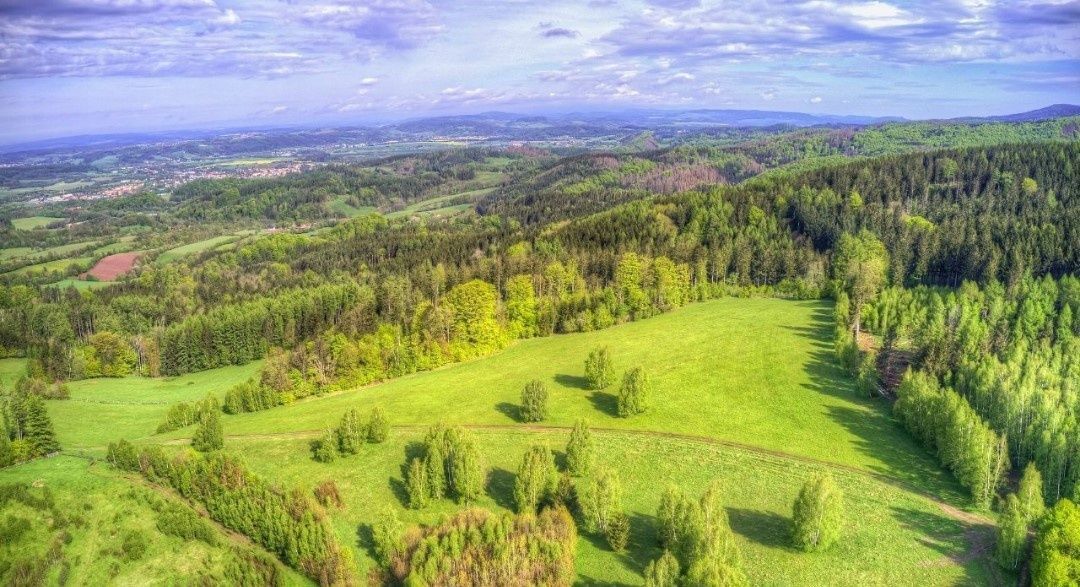 Działka budowlana Leśna. Zdjęcie 3