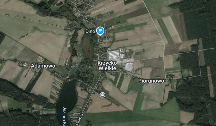 Działka rolna Krzycko Wielkie