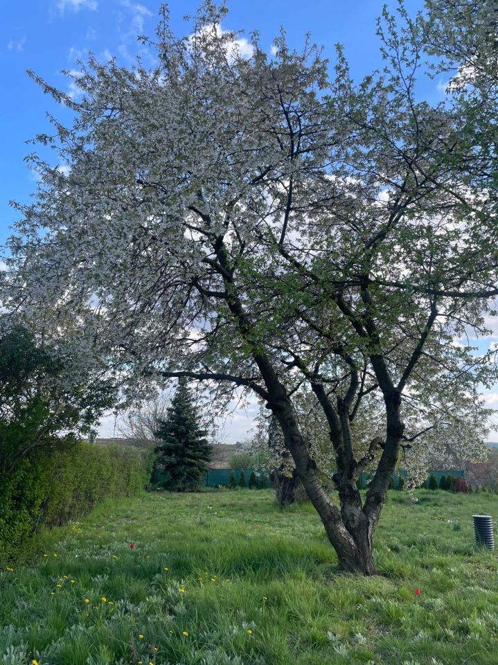 Działka rod Głogów. Zdjęcie 2