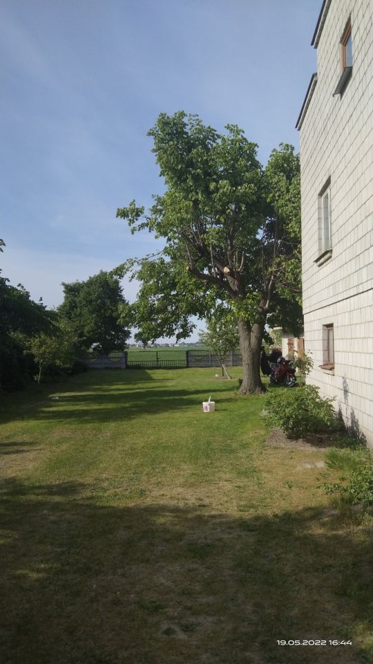 dom wolnostojący, 5 pokoi Brzezinki Nowe. Zdjęcie 5