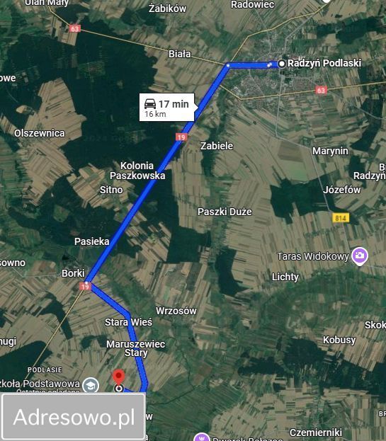 siedlisko Tchórzew-Kolonia. Zdjęcie 18