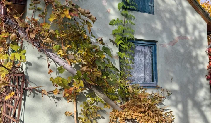 Działka rod Lubin Przylesie, ul. Legnicka