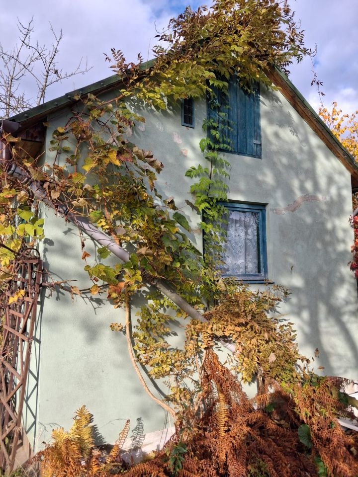 Działka rod Lubin Przylesie, ul. Legnicka. Zdjęcie 1