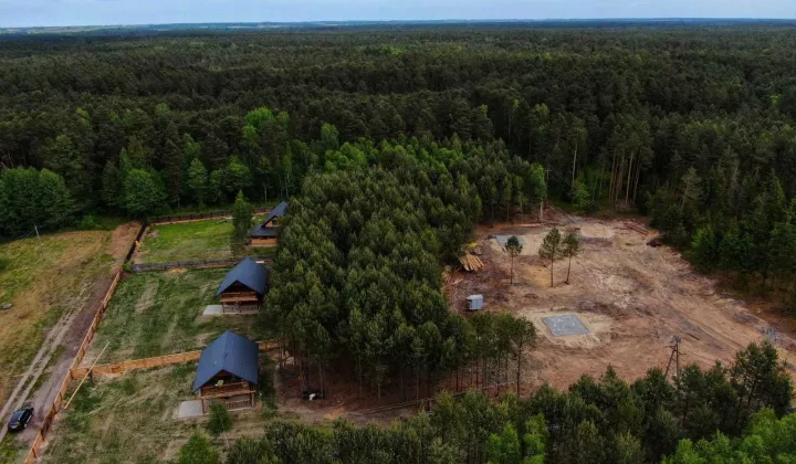 Działka leśna Maliniec
