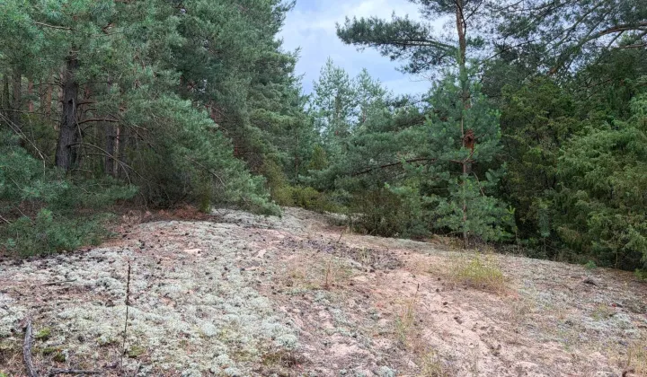 Działka rekreacyjna Lelewo