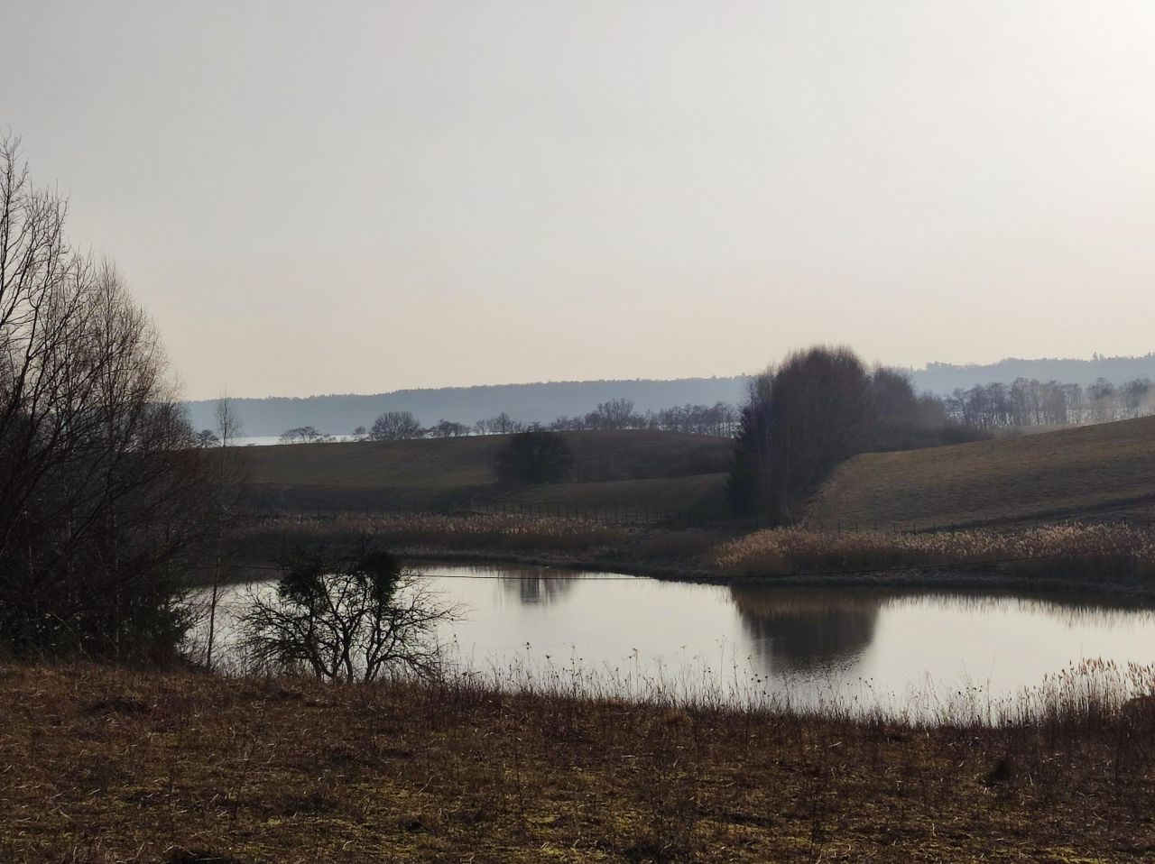 Działka rolno-budowlana Najdymowo. Zdjęcie 9