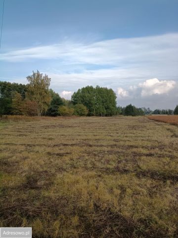 Działka rolna Koczargi Stare, ul. Podleśna. Zdjęcie 1