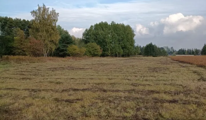 Działka rolna Koczargi Stare, ul. Podleśna