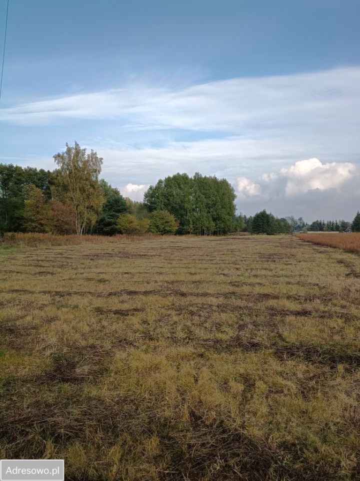 Działka rolna Koczargi Stare, ul. Podleśna