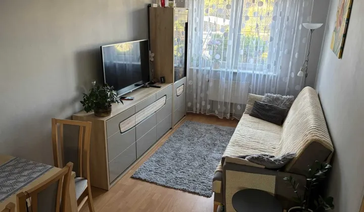 Mieszkanie 2-pokojowe Gostynin, ul. Zazamcze