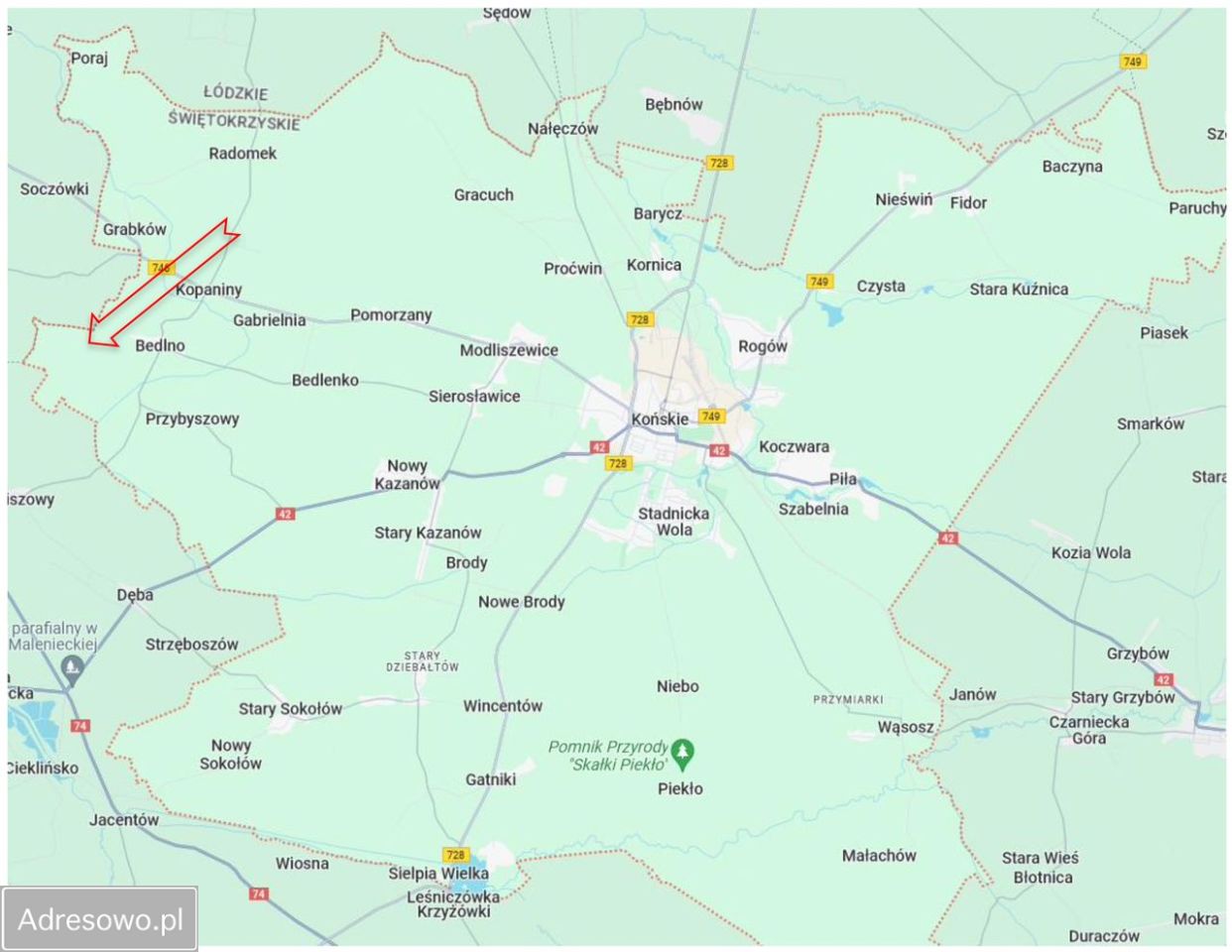 Działka leśna Bedlno. Zdjęcie 11