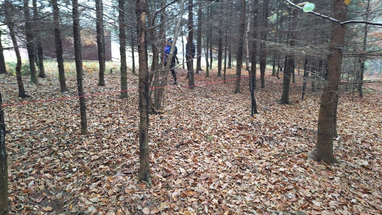 Działka budowlana Kurów. Zdjęcie 3